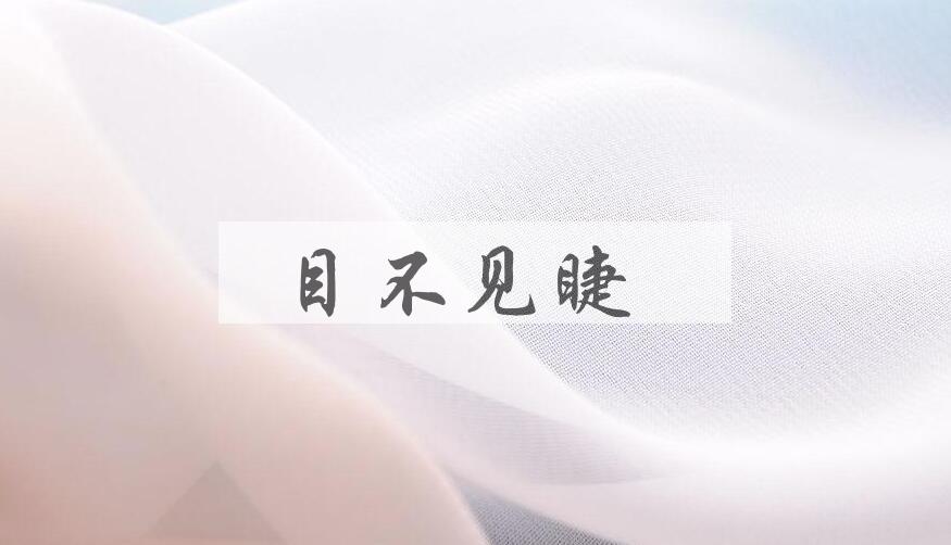 成语目不见睫是什么意思？