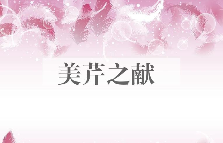 成语美芹之献是什么意思？