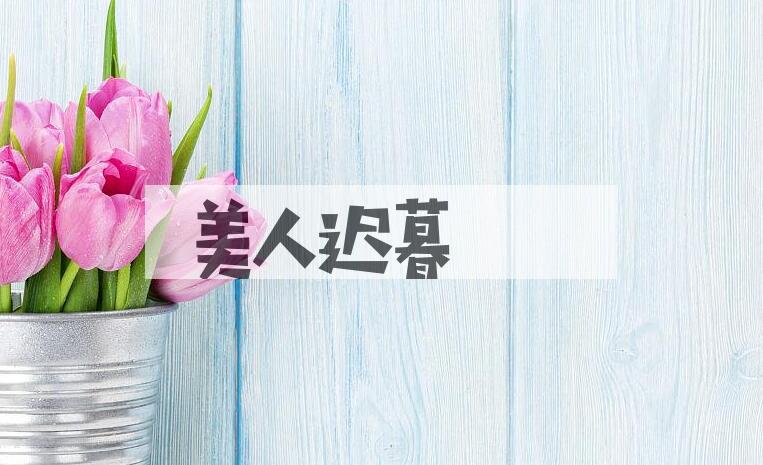 成语美人迟暮是什么意思？