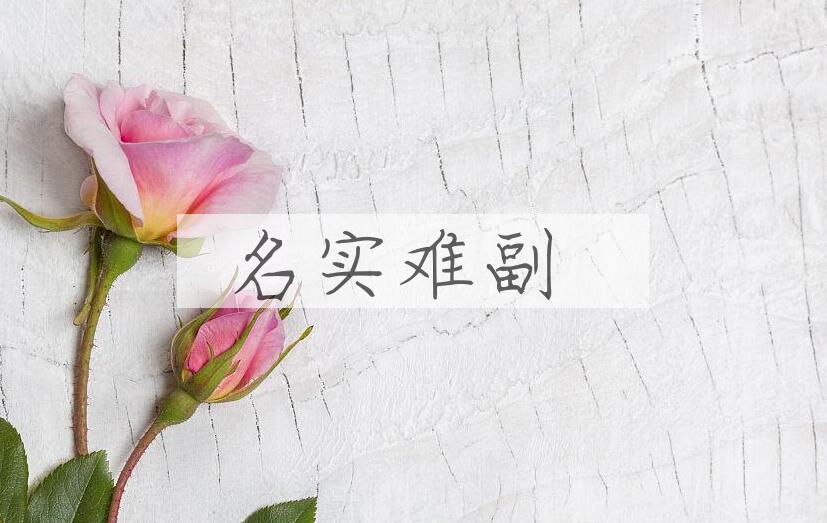成语名实难副是什么意思？