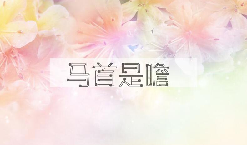 成语马首是瞻是什么意思？