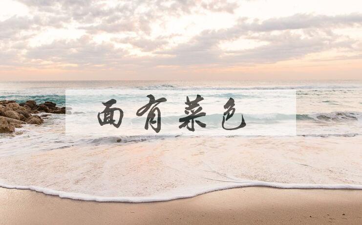 成语面有菜色是什么意思？