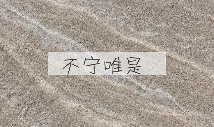 成语不宁唯是是什么意思？