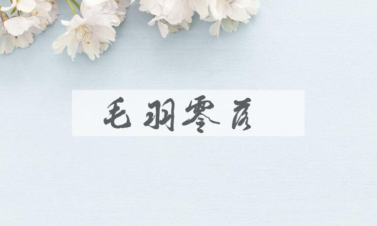 成语毛羽零落是什么意思？