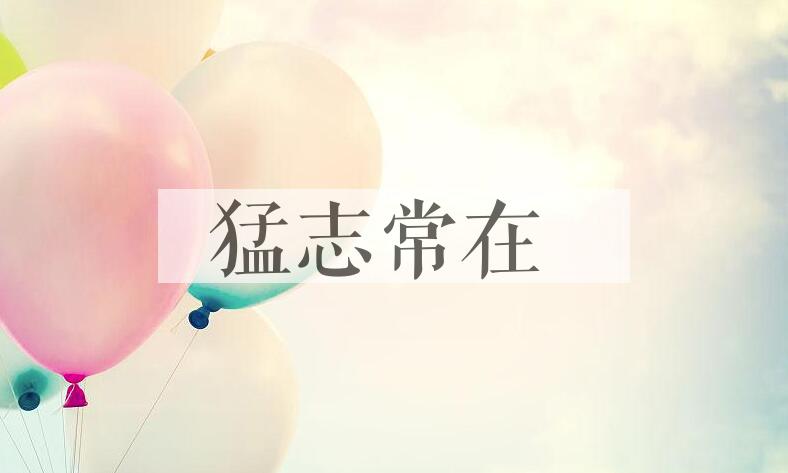 成语猛志常在是什么意思？