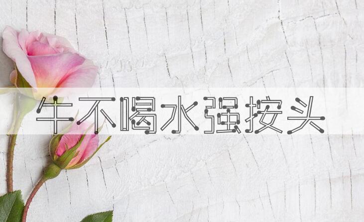 成语牛不喝水强按头是什么意思？