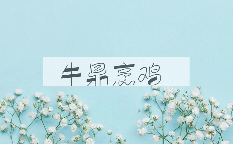 成语牛鼎烹鸡是什么意思？