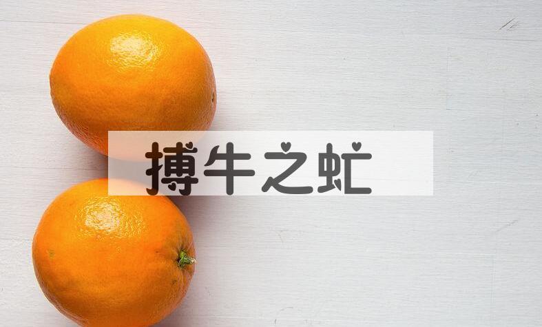 成语搏牛之虻是什么意思？