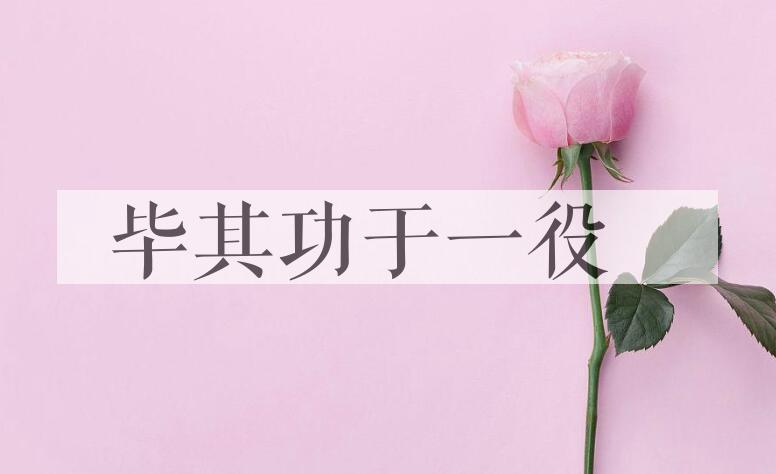 成语毕其功于一役是什么意思？
