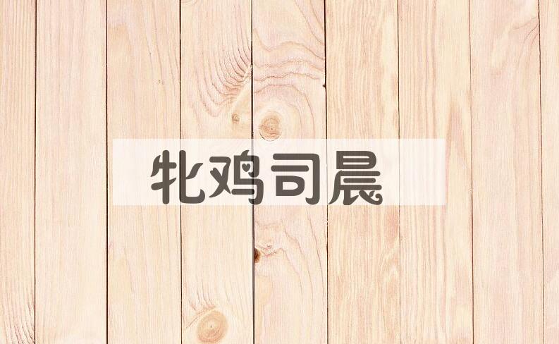 成语牝鸡司晨是什么意思？