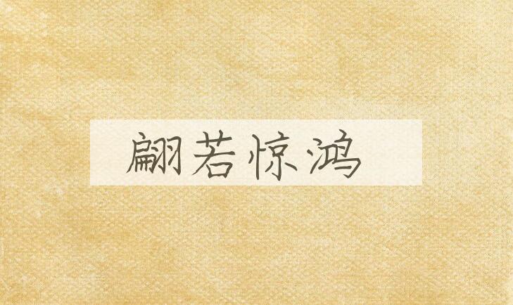 成语翩若惊鸿是什么意思？