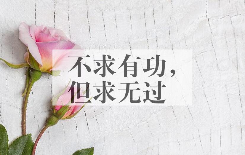 成语不求有功，但求无过是什么意思？