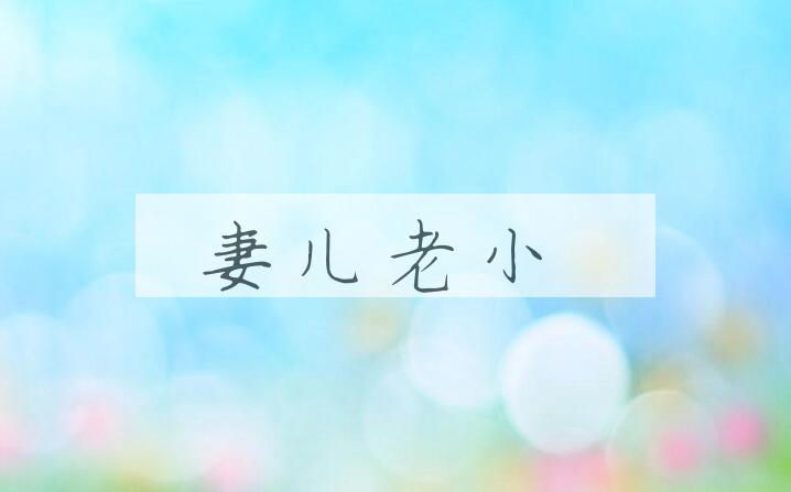 成语妻儿老小是什么意思？