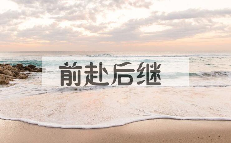 成语前赴后继是什么意思？