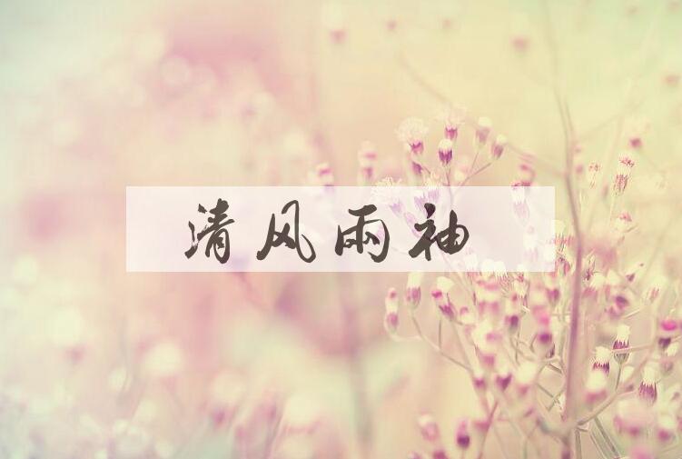 成语清风两袖是什么意思？