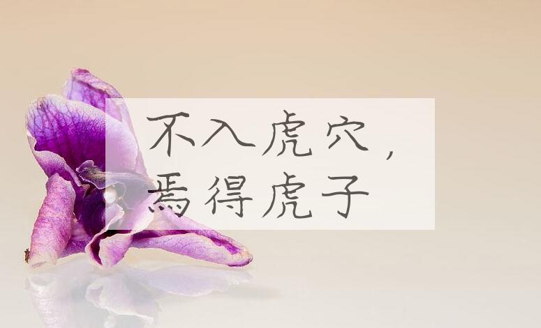 成语不入虎穴，焉得虎子是什么意思？