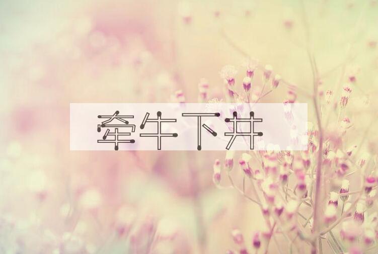 成语牵牛下井是什么意思？