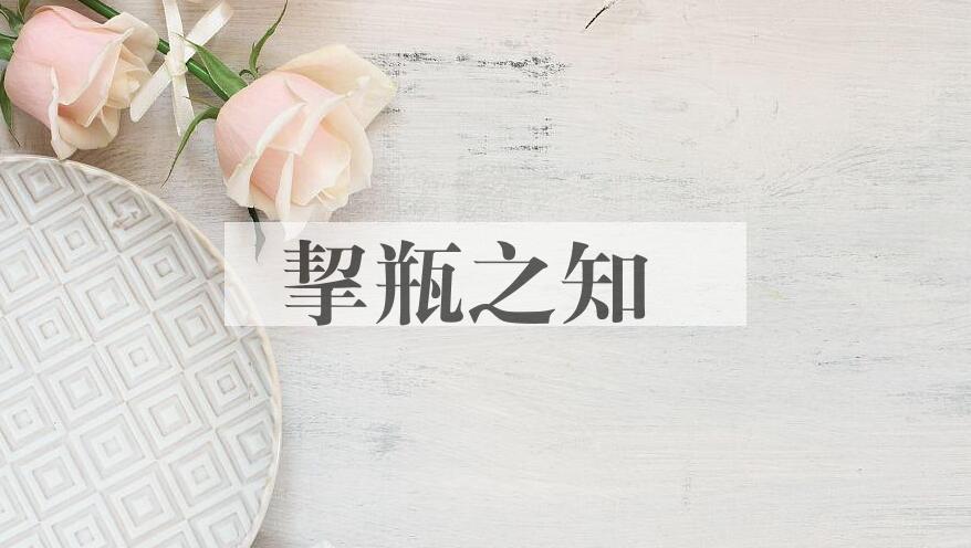 成语挈瓶之知是什么意思？