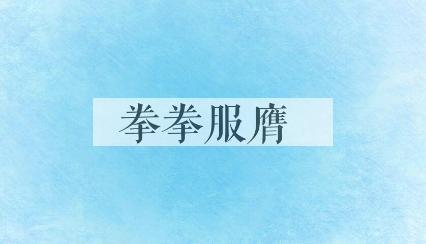 成语拳拳服膺是什么意思？