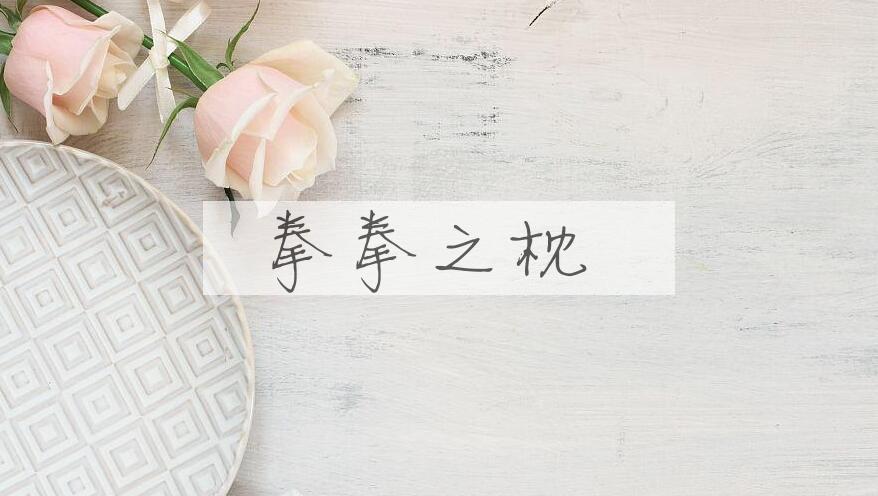 成语拳拳之枕是什么意思？