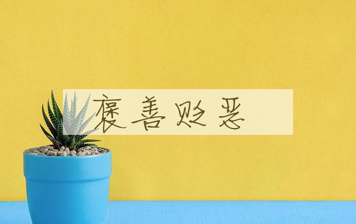 成语褒善贬恶是什么意思？