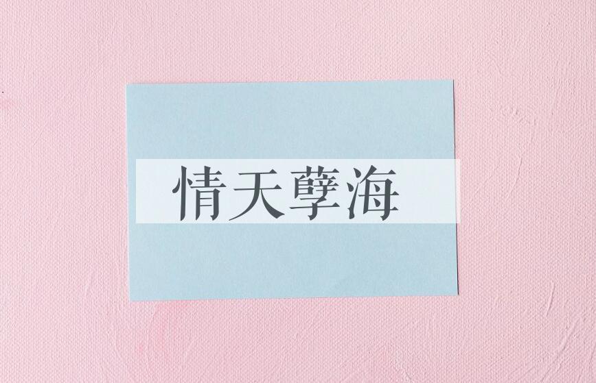 成语情天孽海是什么意思？