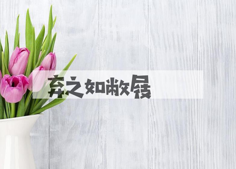 成语弃之如敝屐是什么意思？