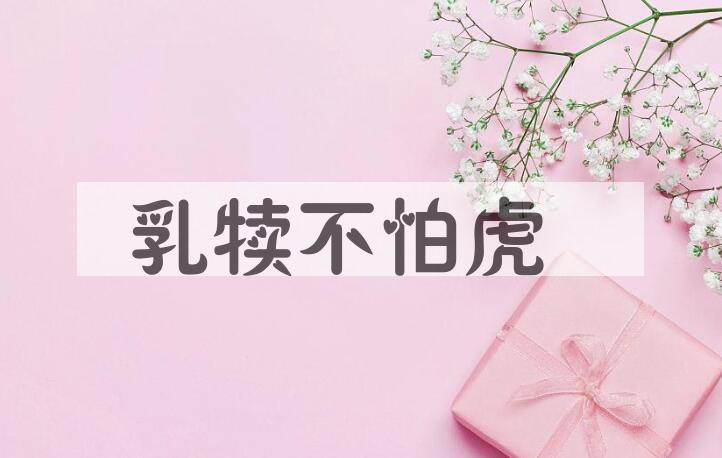 成语乳犊不怕虎是什么意思？