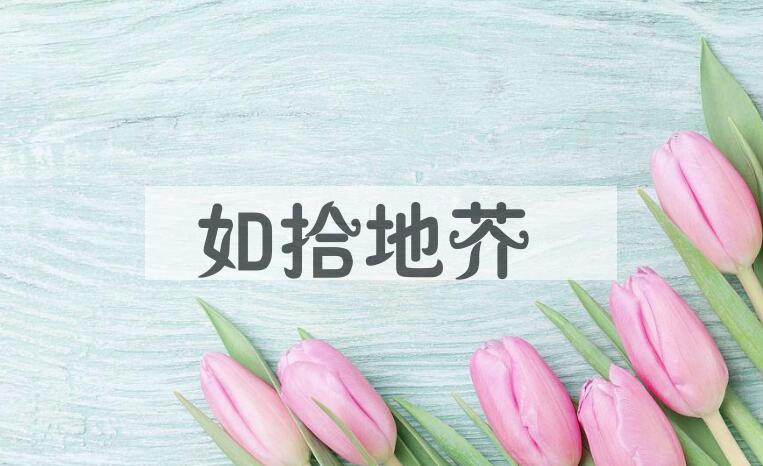 成语如拾地芥是什么意思？