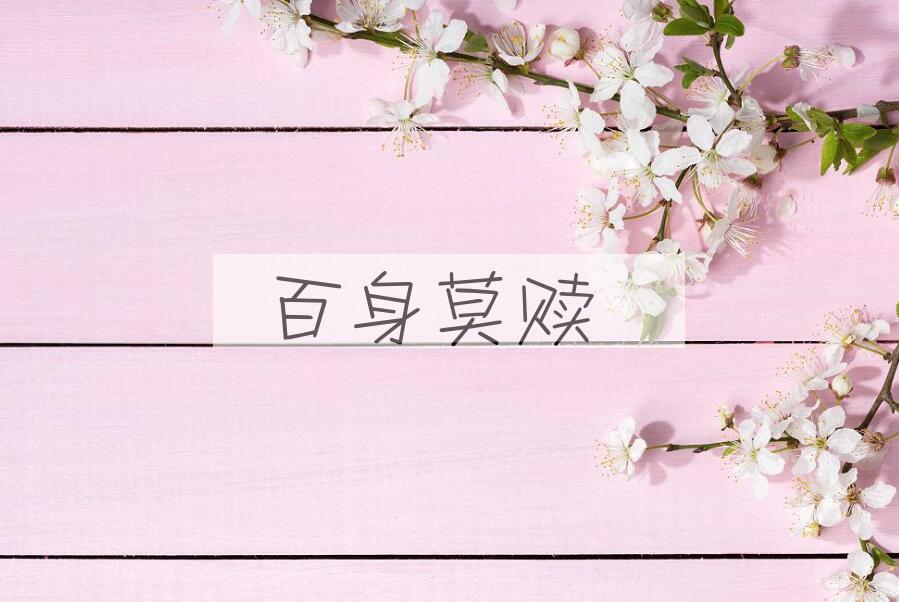 成语百身莫赎是什么意思？