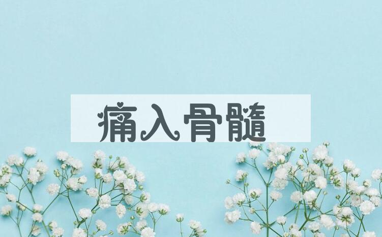 成语痛入骨髓是什么意思？