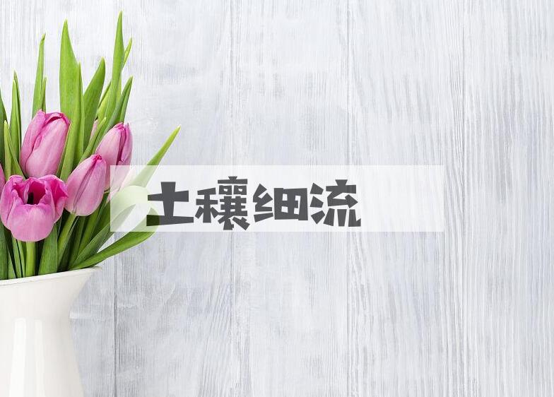 成语土穰细流是什么意思？