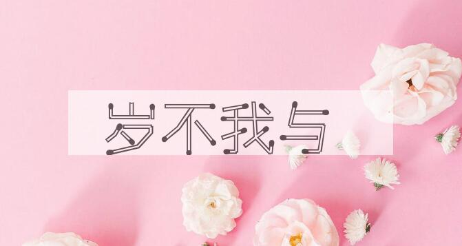 成语岁不我与是什么意思？