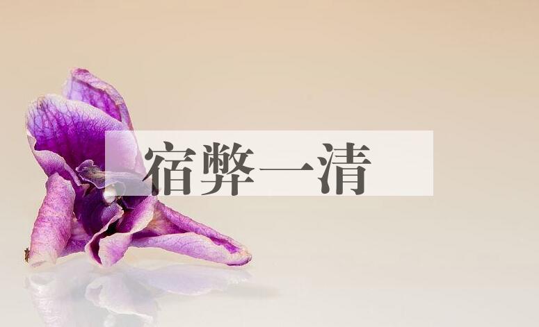 成语宿弊一清是什么意思？