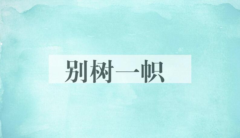 成语别树一帜是什么意思？