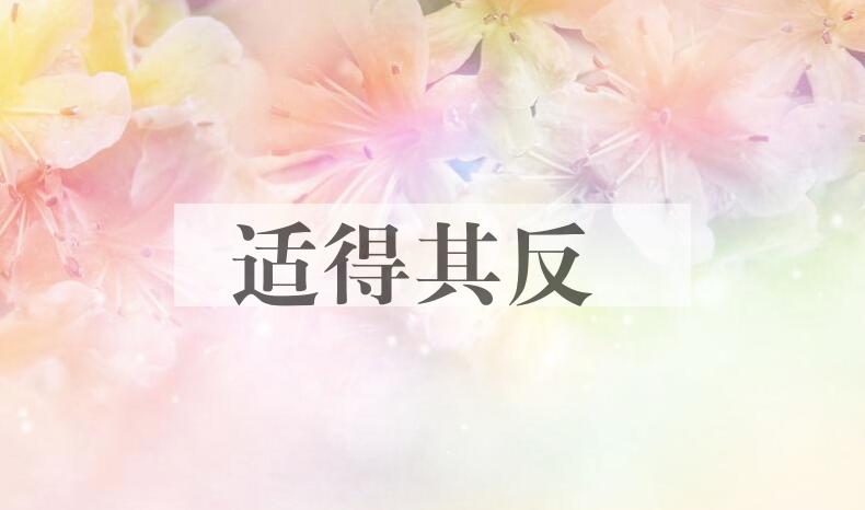 成语适得其反是什么意思？