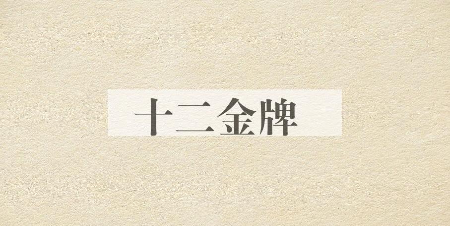成语十二金牌是什么意思？
