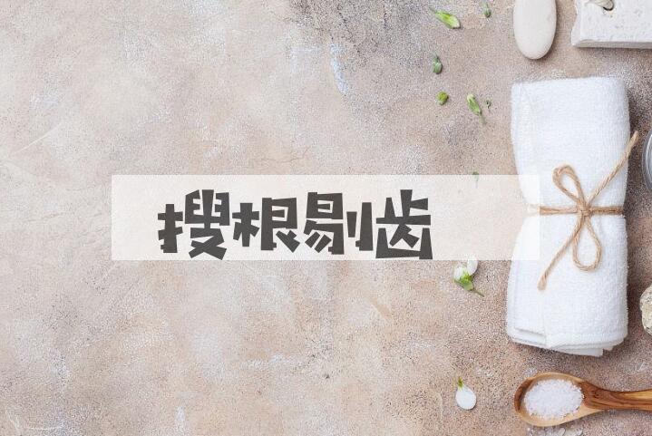 成语搜根剔齿是什么意思？