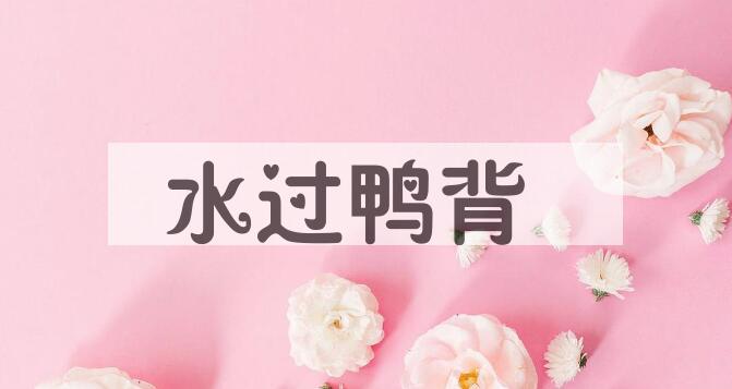 成语水过鸭背是什么意思？