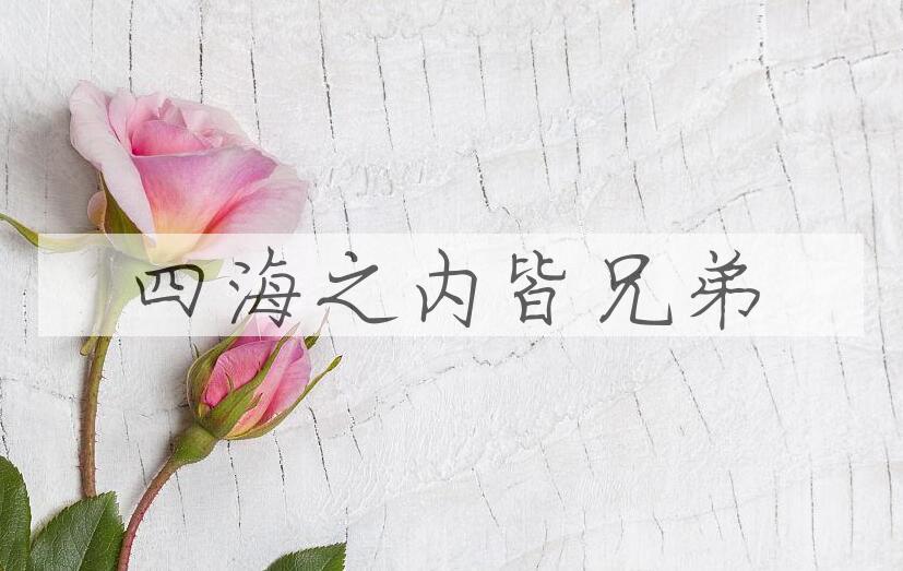 成语四海之内皆兄弟是什么意思？