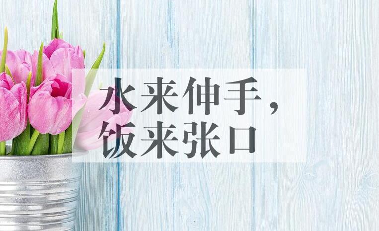 成语水来伸手，饭来张口是什么意思？