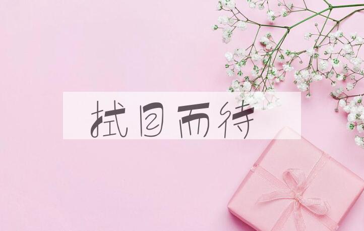 成语拭目而待是什么意思？