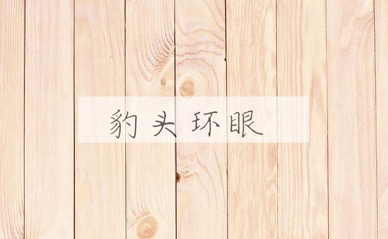 成语豹头环眼是什么意思？