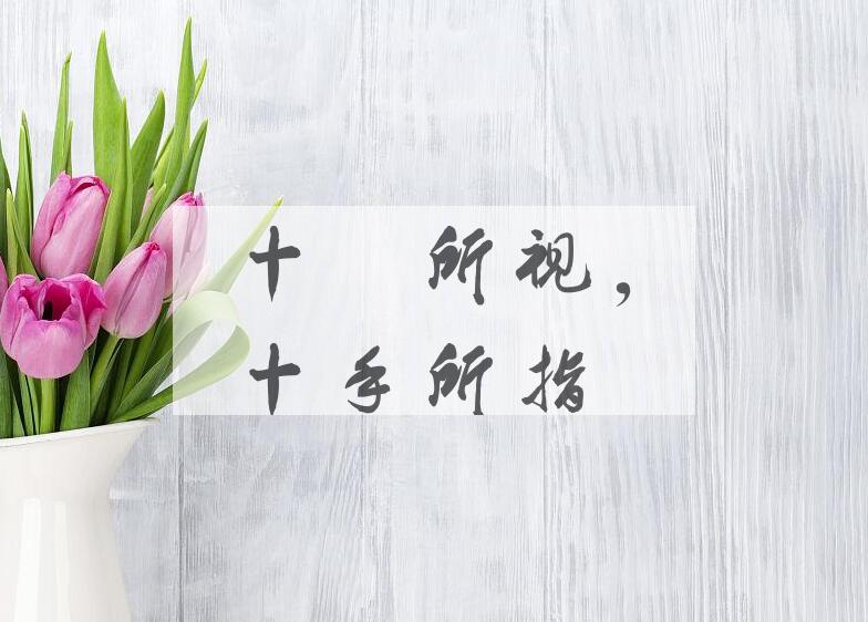 成语十目所视，十手所指是什么意思？