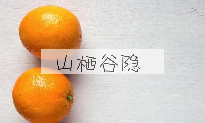 成语山栖谷隐是什么意思？