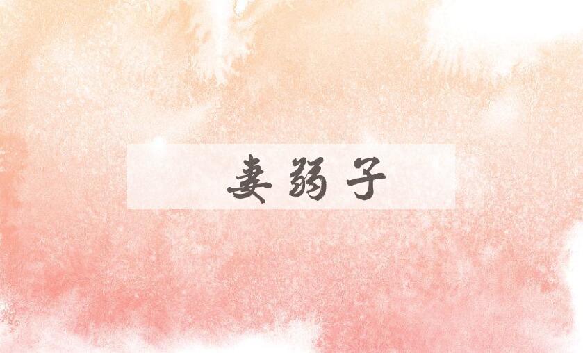 成语孀妻弱子是什么意思？