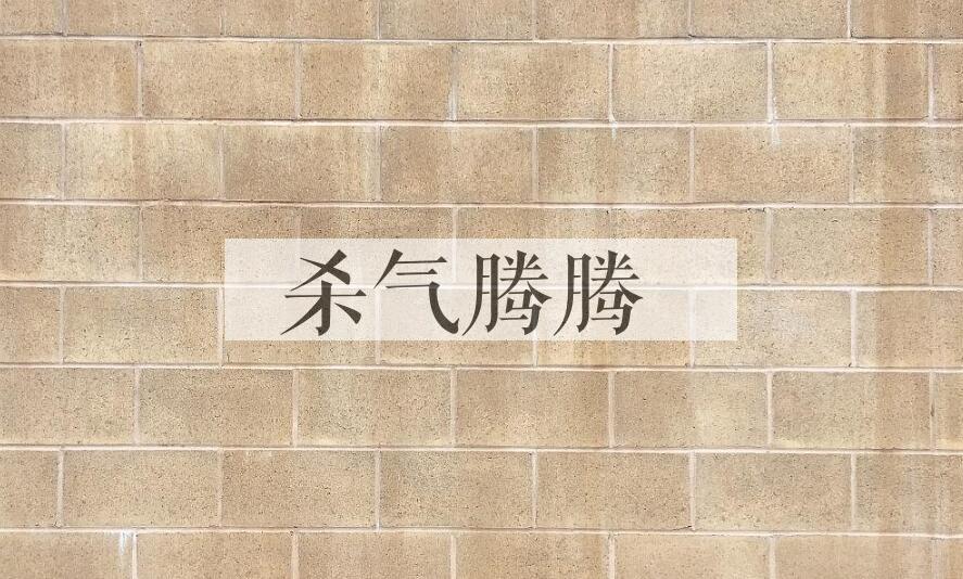 成语杀气腾腾是什么意思？
