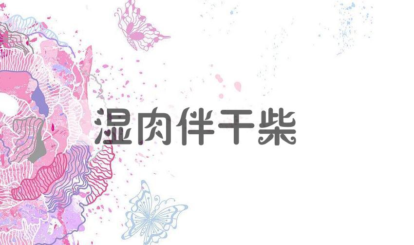 成语湿肉伴干柴是什么意思？