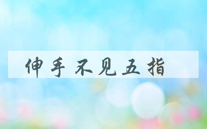 成语伸手不见五指是什么意思？