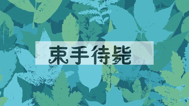 成语束手待毙是什么意思？